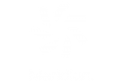Meridian Energy White